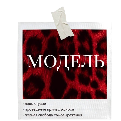 МОДЕЛЬ